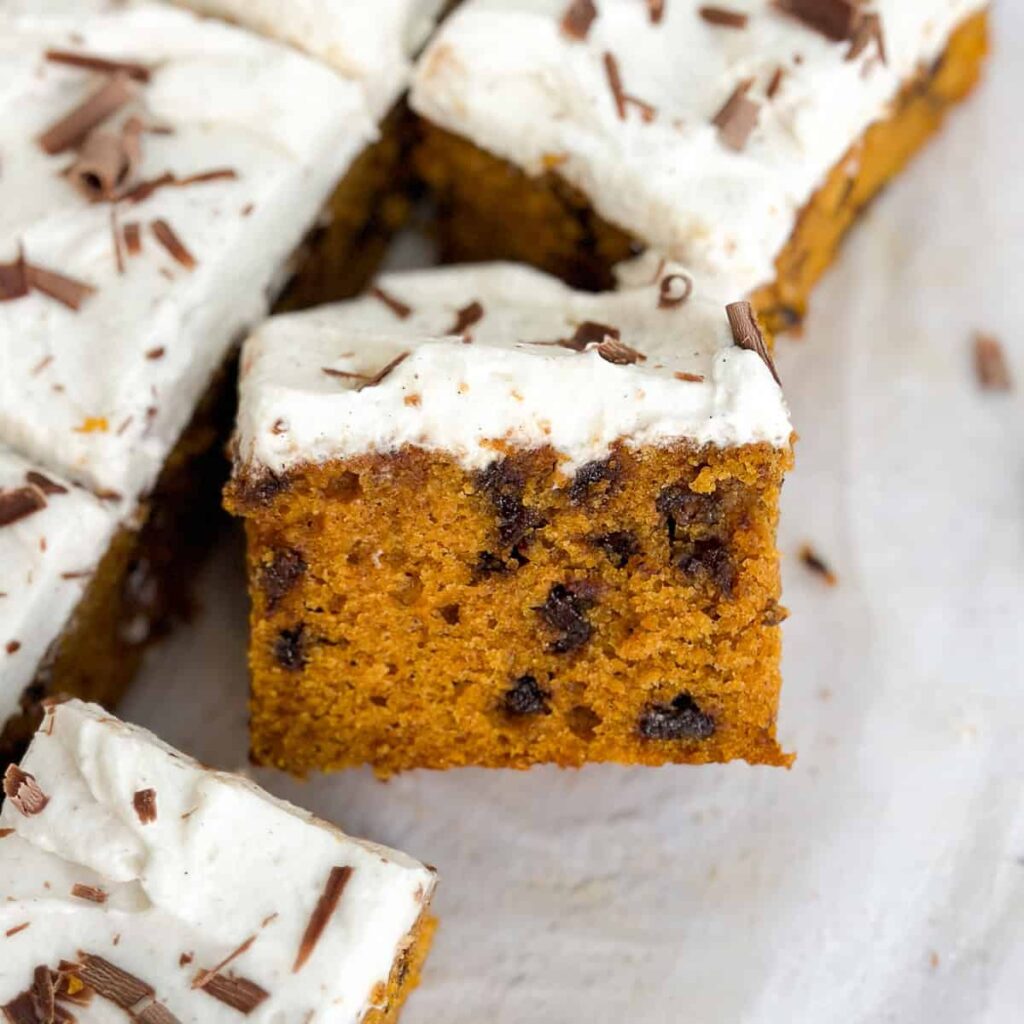 Pumpkin Chocolate Chip Cake – The Salted Sweets