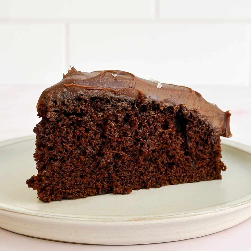 Single Layer Chocolate Cake – The Salted Sweets